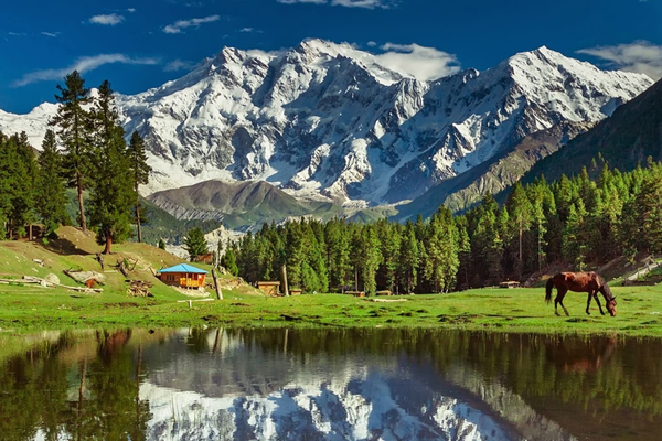 Hike to Nanga Parbat Base Camp (Beyal Camp)