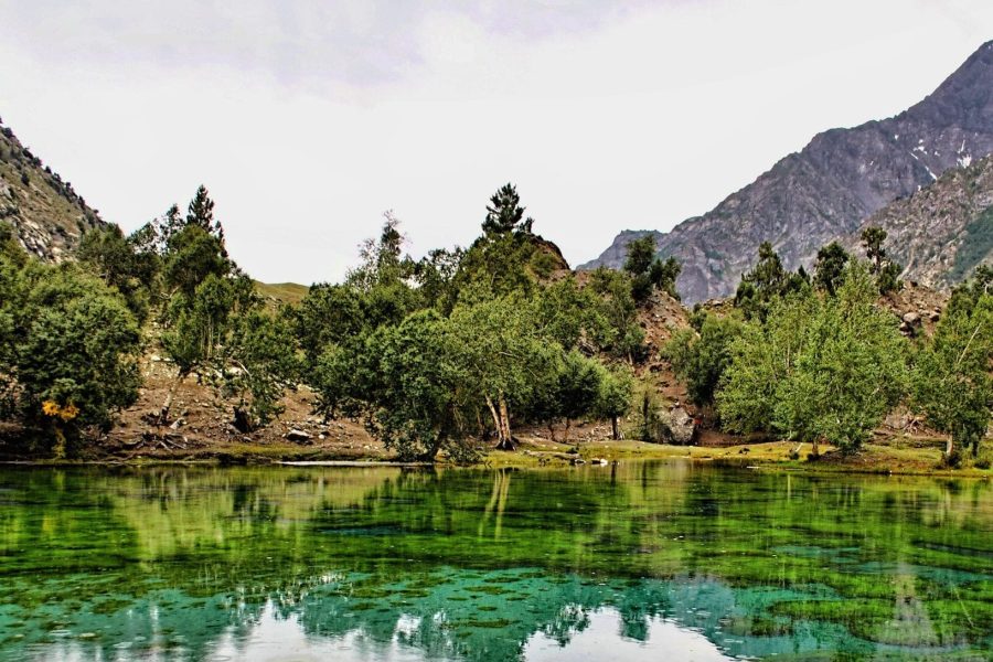 6 Days Private Tour to Gilgit Hunza China Border& Naltar Valley