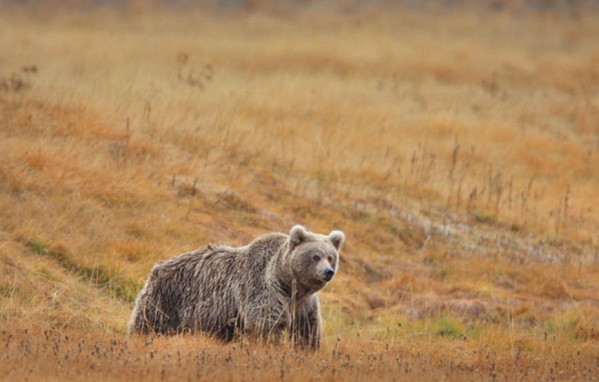 6 Days Group Tour to Skardu, Deosai and Shigar