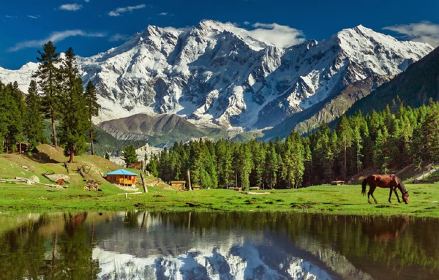 5 Days Group Tour to Fairy Meadows & Beyal Camp