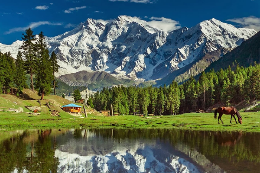 5 Days Group Tour to Fairy Meadows & Beyal Camp