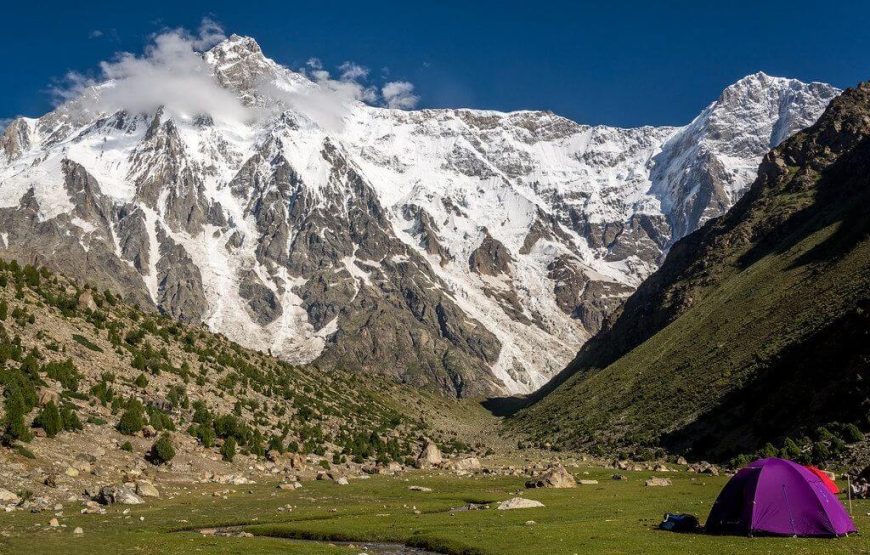 8 Days Group Tour to Skardu, Minimarg & Tarishing